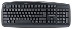 Genius KB-110 Wired Desktop Keyboard for PC, Black